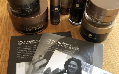 Temple Spa Skin Therapy Class Experiences – A Lady Janey Review